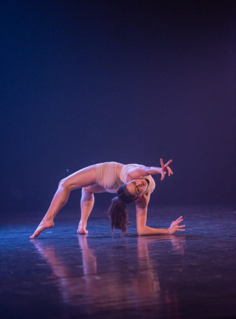 Ndigo Timeline Za 61 Ndigo Timeline Za 61