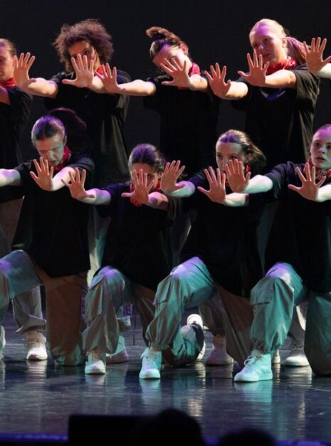 ND-Nature Ndigo Dansvoorstelling 2 ND-Nature Ndigo Dansvoorstelling 2