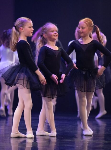 ND-Nature Ndigo Dansvoorstelling 8 ND-Nature Ndigo Dansvoorstelling 8