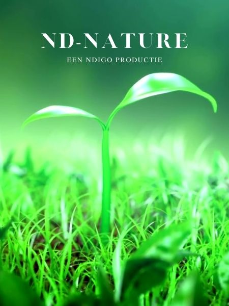 ND-Nature Nieuwe Voorstelling (3)