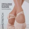 Close-up van voeten in zachte balletschoenen, gelabeld "Dream Stretch Grishko Preferred by Dancers Worldwide", tegen een lichte achtergrond. Tekst links benadrukt comfort en elasticiteit, perfect voor het bereiken van sierlijke bewegingen.