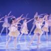 Wonderland2026-Video6